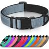 Joytale Collare Cane Riflettente,Imbottito e Morbido,Regolabile Nylon Collari per Cani Piccoli,Grigio,22-30cm