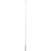 Bosch 1x Punta per martelli EXPERT SDS plus-7X (per Pietra morbida, Pietra dura, Ø 5,00 mm, Professional Accessorio Martello perforatore)