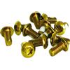 ASHIMA Kit Bulloni freno oro (12 Pezzi) Freni Disco