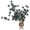 BiOrb - Palla per bonsai, colore: Nero