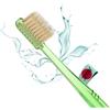 Mizuha Per la pulizia dei denti con e senza dentifricio. Smart Miswak con fibre del silicico giapponese nero. Spazzolino ionico naturale con pulvere di radice Siwak.
