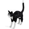 Seletti Jobby The Cat Black and White