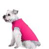 YAODHAOD - Gilet in Pile di Alta qualità per Cani di Piccola Taglia, Ragazzo o Ragazza, con guinzaglio ad Anello di Taglia Media, Gatti, Cani, Bassotto, Chihuahua Francese Bulldog Carlino (Rosa, M)