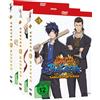 Filmconfect Anime Gakuen Basara Samurai High School - Gesamtausgabe - Bundle - Vol.1-3 (3 DVDs)