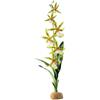 Exo Terra Askoll 281661 Piante terrestri Exo Terra PT2991 ragno di orchidee, 7, 6 x 12, 7 x 43, 2 cm