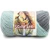Lion Brand Yarn 826-217 Filato Scarfie, Menta/Argento, 21,59 x 12,065 x 12,065 cm