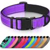 Joytale Collare Cane Riflettente,Imbottito e Morbido,Regolabile Nylon Collari per Cani Piccoli,Viola,20-30cm