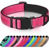 Joytale Collare Cane Riflettente,Imbottito e Morbido,Regolabile Nylon Collari per Cani Piccoli,Rosa caldo,30-40cm