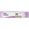 BOIRON Asa Foetida 30ch Granuli Multidose Boiron