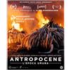 Cg/Valmyn Antropocene