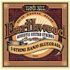 Ernie Ball, Earthwood 5-String Banjo Bluegrass 80/20 Bronze, Corde per banjo con estremità ad anello, diametro 9-20