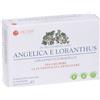 Lao Dan ANGELICA LORANTHUS 60 CAPSULE