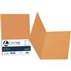 FAVINI 50 cartelline semplici LUCE 200gr 25x34cm arancio FAVINI