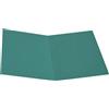 CART. GARDA 100 CARTELLINE SEMPLICI VERDE S/STAMPA 145GR