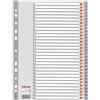 ESSELTE Separatore in PPL grigio numerico 1-31 f.to A4 ESSELTE