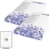 STARLINE Etichetta adesiva bianca 100fg A4 70x48mm (18et/fg) STARLINE