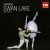 Warner Classics Swan Lake