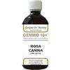 Dottor Giorgini Dr Giorgini Ser-vis Gemmo 10+ Rosa Canina Liquido Analcolico 500 Ml