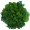 Woohome N\A Woohome Muschio Artificiale, 30 Pz Artificiale Moss Rocks Stones Verd Muschio Artificiale Rocce Decorative, 30G Muschio Verde Stabilizzato per Composizioni Floreali, Giardini Fatati, Artigianato