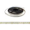 Striscia LED Professional 2835/224 - IP67 - 25W/m - 2.900lm/m- 5m - 24V Colore Bianco Freddo 6.000K