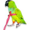 Aviator Pettorina per Pappagalli Colore Rosso | Taglia Small - Aviator - Pettorina per Pappagalli - Small - Rosso