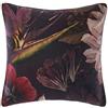 Linen House Federa per Cuscino Neve Continental, 100% Cotone, Multicolore, 65 x 65cm
