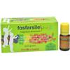 FITOBUCANEVE Srl Fosfarsile junior 10 flaconi - integratore energizzante e tonico per adolescenti