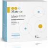 OMEOPIACENZA Srl Ddm matrice 14bust