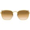 Ray-Ban Occhiali da Sole Ray-Ban Frank RB3857 919651