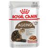 Royal Canin 24 x 85 g Alimento umido per gatti - Ageing 12+ in Salsa