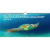 Seelenzauber K2022-4W-00078-D-0 Turtle Magic - Calendario DIN A4 per tartarughe 2022