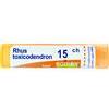 BOIRON Srl BO.RHUS TOX*15CH 80GR4G