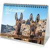 Seelenzauber K2022-5T-00019-D-0 Donkey Magic - Calendario da scrivania DIN A5, per 2022