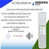 Filtro, Cartuccia Filtrante Carbon Block BIG 20'' - Filtrazione Potenziata a 5 Micron per il trattamento acqua