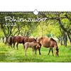 Seelenzauber K2022-4W-00015-D-0 Calendario con puledro Magic DIN A4 per 2022 cavalli e puledri