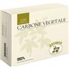 Zeta Farmaceutici ZETAVIS CARBONE VEGETALE 100 COMPRESSE