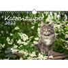 Seelenzauber K2022-4W-00007-D-0 Gatto Magic - Calendario DIN A4 per gatti e neonati 2022