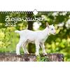 Seelenzauber K2022-4W-00048-D-0 Goat Magic - Calendario DIN A4 per 2022 capre e bambini