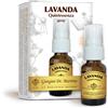 DR.GIORGINI SER-VIS Srl Lavanda Quintessenza Dr. Giorgini 15ml