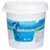 Candioli GASTROCURE SECCHIELLO 2,6 KG