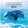 Grupo Erik Calendario 2022 da Muro Delfini - 12 mesi + 4 in omaggio, 30x30 cm, FSC® - ideale come calendario 2022 da parete, calendario ufficio 2022, calendario animali 2022