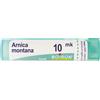 BOIRON Srl Arnica Montana 10 Mk Tubo 2020