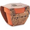 Vaso in terracotta con semi personalizzato Forget me Not personalizzate o neutre