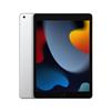 Apple - iPad 10.2 Wifi 256gb-argento