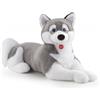 Trudi 22277 - Husky Marcus Taglia JUMBO