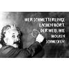 Schatzmix Blechschild Spruch Schmetterlinge lachen hört Einstein Metallschild Tin Sign Targa di Metallo da Parete, Lamiera, Multicolore, 20_x_30_cm
