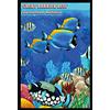 Schatzmix Blechschild Great Barrier Reef Australia Metallschild 20x30 Wanddeko Tin Sign Targa di Metallo da Parete, Lamiera, Multicolore, 20x30 cm