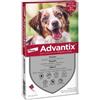 Bayer prodotti veterinari Advantix Spot On Antiparassitario per Cani 10-25 Kg 4 pipette