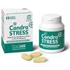 Innovet Italia srl Innovet Condrostress+ 60 Compresse per le articolazioni dei cani