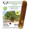 ARTISAN GIFT CO Legno di ulivo per cane, osso di legno naturale per cani da masticare - 15 cm